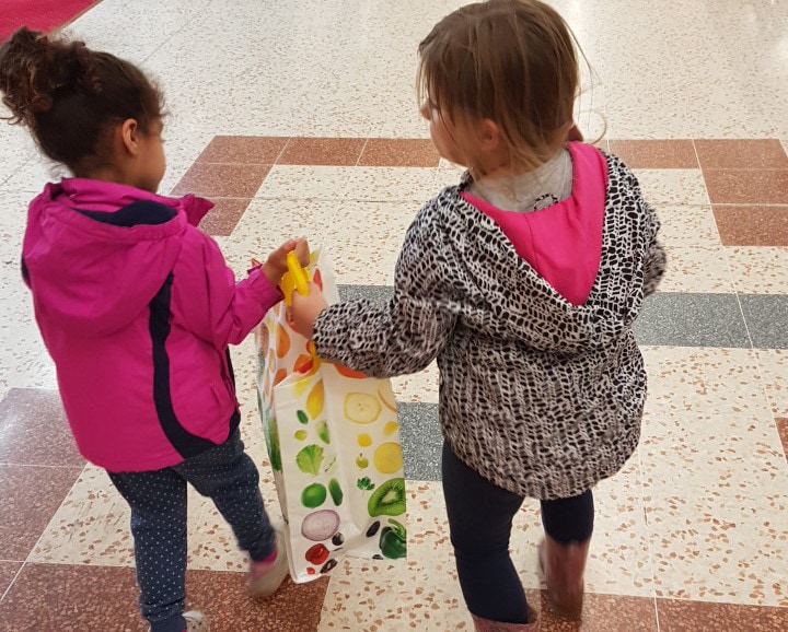 FCSS - carrying our shopping in our bag for life