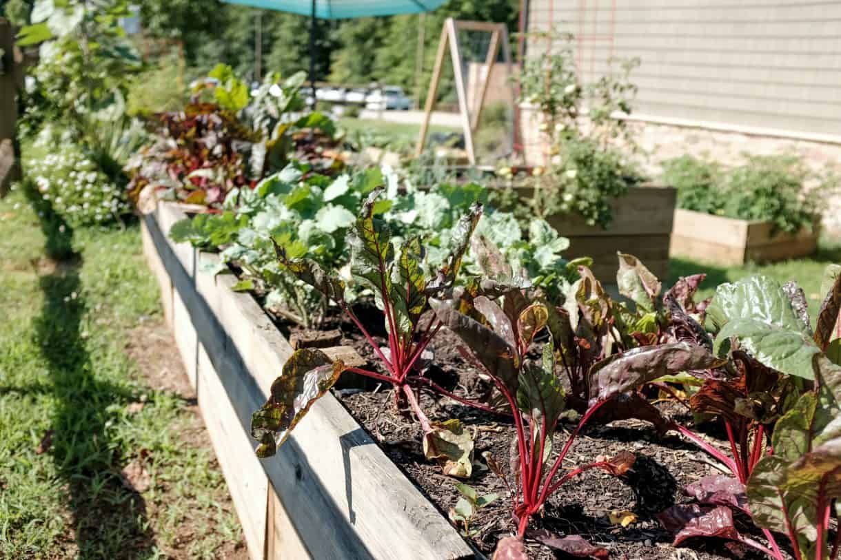 FCSS - Community Garden
