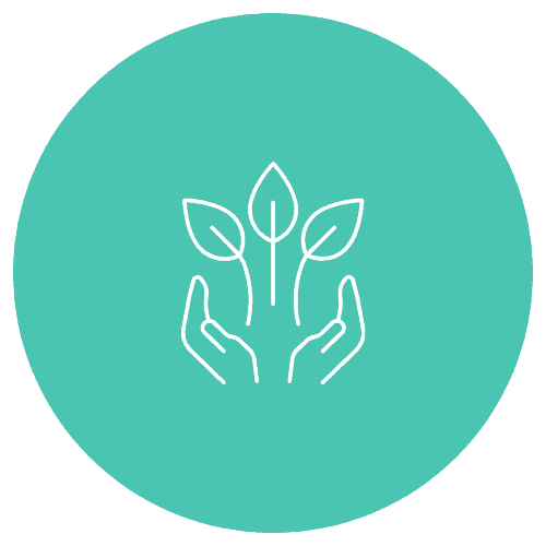 Nurture and Learn FCSS Values - Nurture and Learn
